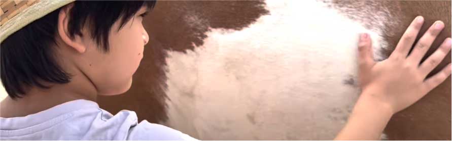 Niño Interactuando Con Caballo Durante Talleres De Verano Manada Creativa